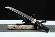 Nebula katana OPSW09 Tanou sword t10 steel blade