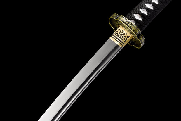 Lion's Pride Tachi - Model 021 Samurai Sword | Traditional Tachi - Battle Ready