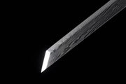 **Product Name:** Twist-Forged Tang Dynasty Sword - No-Frills Edition-015