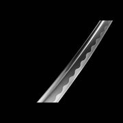 Nebula katana SWIO245 1095 T10 steel blade