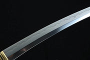 Nebula katana SPOW249 tantou sword t10 steel blade